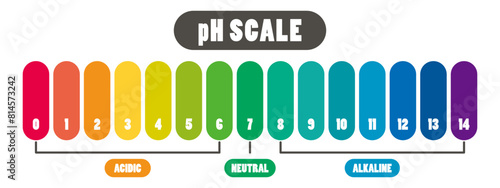 pH value scale chart for acid-alkaline solution. PH scale science design vector illustration. Colorful graph for test. Chart for the Acidic Neutral and Alkaline pH of various liquids and solvent.PH