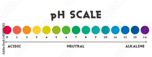 pH value scale chart for acid-alkaline solution. PH scale science design vector illustration. Colorful graph for test. Chart for the Acidic Neutral and Alkaline pH of various liquids and solvent.PH