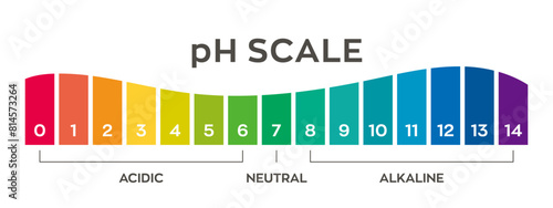 pH value scale chart for acid-alkaline solution. PH scale science design vector illustration. Colorful graph for test. Chart for the Acidic Neutral and Alkaline pH of various liquids and solvent.PH
