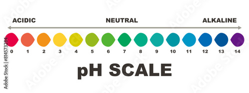 pH value scale chart for acid-alkaline solution. PH scale science design vector illustration. Colorful graph for test. Chart for the Acidic Neutral and Alkaline pH of various liquids and solvent.PH