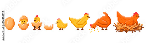 Pixel art chicken hatching. Hen life cycle sequence from egg to chick and adult chicken, retro 8-bit game style vector illustration set