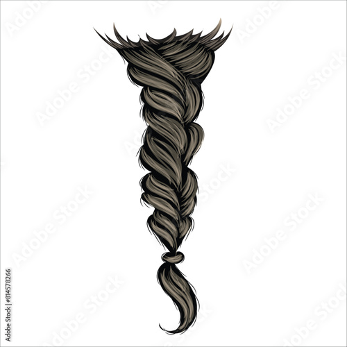 Braid high details 