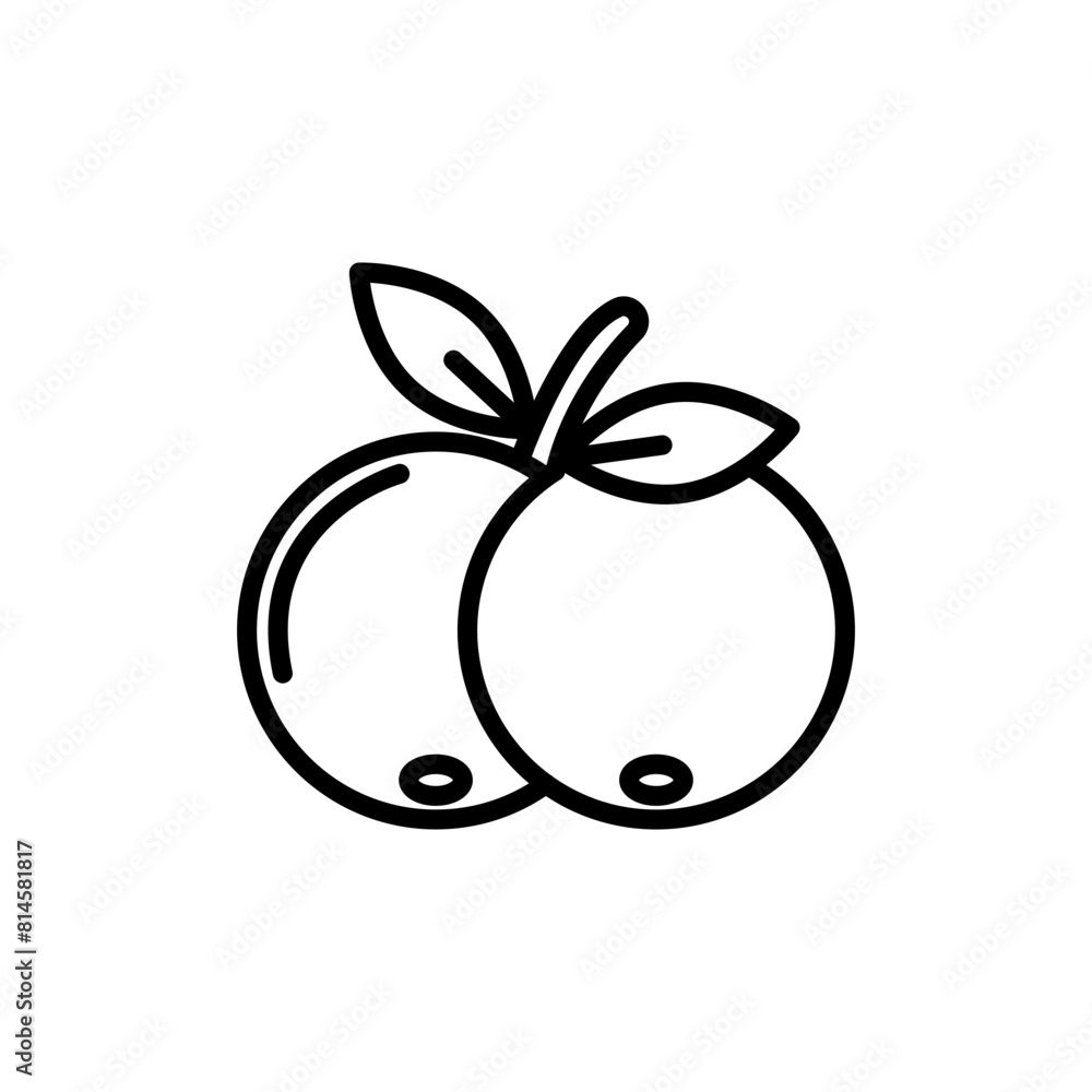 Cranberry line icon. Fruit icon. Cranberry icon isolated on white background. Transparent background, minimalist symbol. Vector images Cranberry line icon. Fruit icon. Cranberry icon isolated on white background. Transparent background, minimalist symbol. Vector images