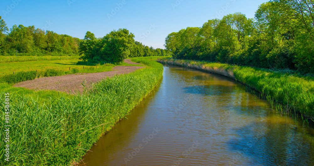 The edge of a canal in a rural area in springtime , Almere, Flevoland, The Netherlands, May 13, 2024 The edge of a canal in a rural area in springtime , Almere, Flevoland, The Netherlands, May 13, 2024