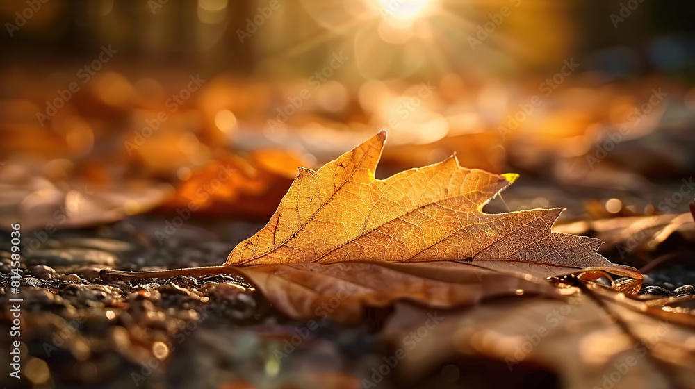 Close up photograph of a singular dry leaf. Generative AI Close up photograph of a singular dry leaf. Generative AI