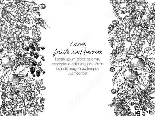 Vector frame blooming garden with harvest. Cherries, grape, apples, rose hips, raspberries, blackberries, cloudberries, lingonberries, blueberries in engraving style