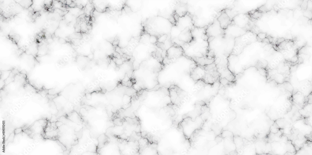 Obraz premium Modern Natural White and black marble texture for wall and floor tile wallpaper luxurious. Creative stone art wall interiors background design.