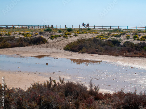 Paraje Natural Punta Entinas-Sabinar, catalogado como Espacio Natural Protegido. Roquetas de Mar, Almería, Andalucía, España.