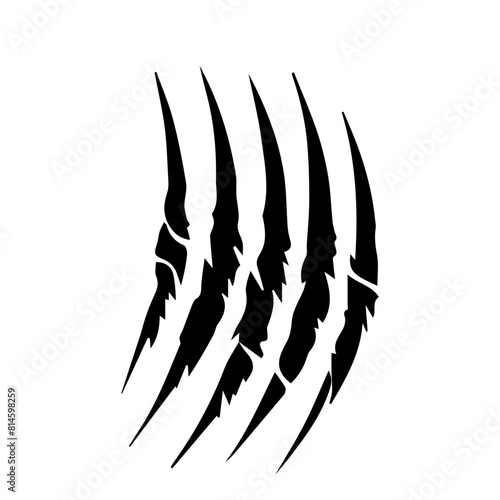  animal claw scratches mark isolated
