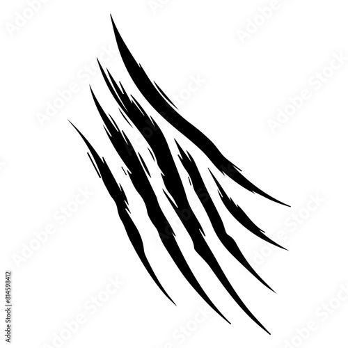 animal claw scratches mark isolated