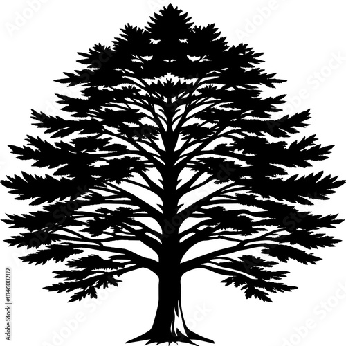 Eastern Red Cedar Tree Silhouette Vector T-Shirt Design with white background -Vector illustration
