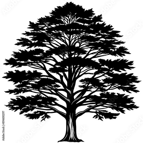 Eastern Red Cedar Tree Silhouette Vector T-Shirt Design white background -Vector illustration