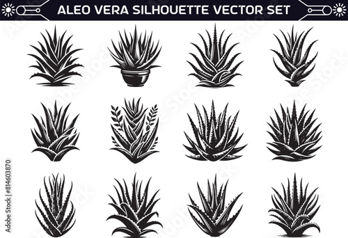 Aloe Vera Silhouette Vector Illustration on a Solid White Background