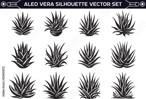 Aloe Vera Silhouette Vector Illustration on a Solid White Background