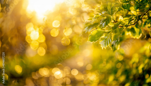 Blurred abstract spring background with green leaves,golden tone