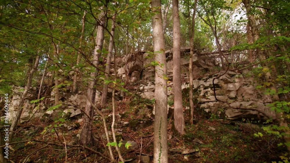 Ruins of an ancient stone buildings surrounded by green long trees in the woods