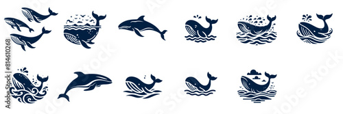11 set silhouette of whales