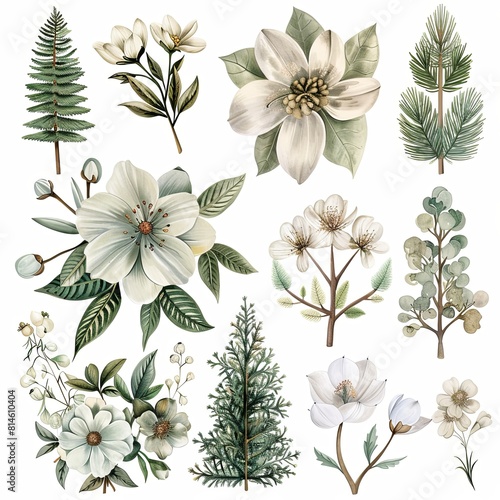 watercolor beautyful cute flower clip art set  pine trees  evergreen flower  archway clipart  neutral color palette  isolated on white background  high detail  in the style of hyperrealism