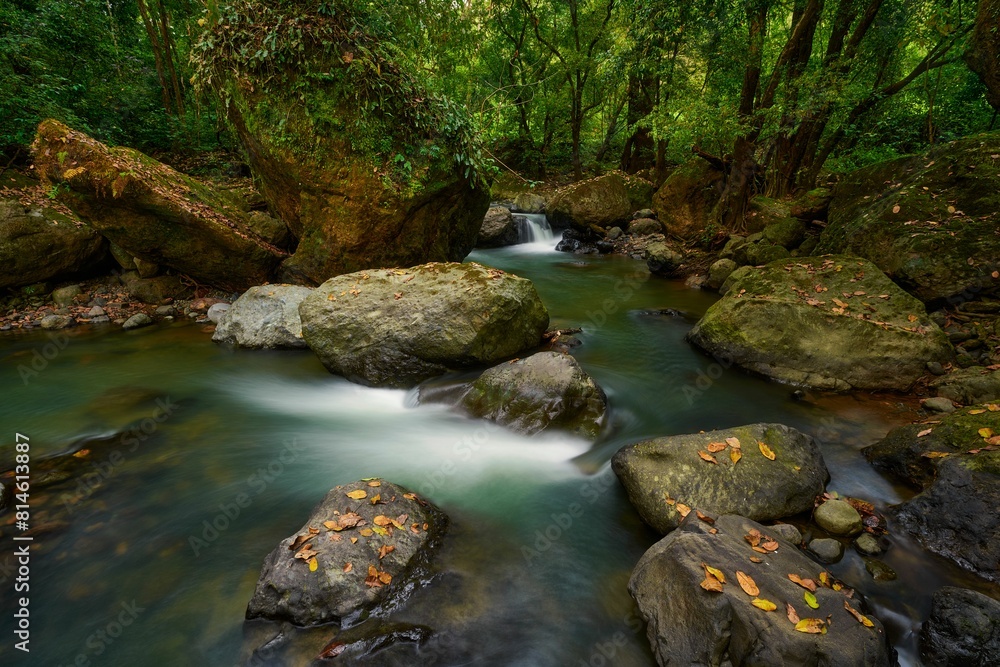 Stunning long exposure of a rocky stream bed surrounded by lush trees Stunning long exposure of a rocky stream bed surrounded by lush trees