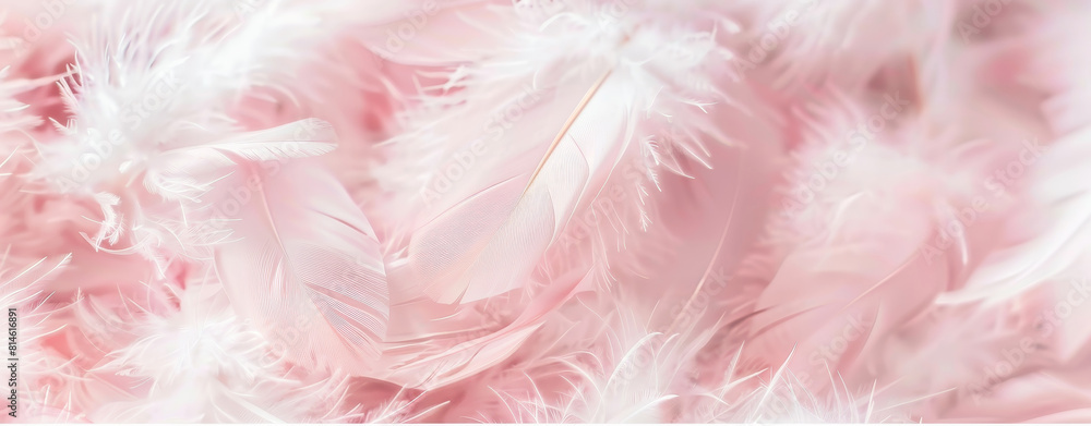 Fototapeta premium Delicate and dreamy background of soft pink feathers with subtle lighting, conveying a sense of gentle elegance and tranquil beauty, perfect for versatile creative projects