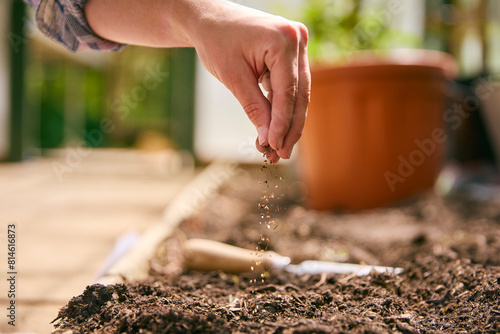Close Up Of Woman Gardening Planting Seeds In Greenhouse