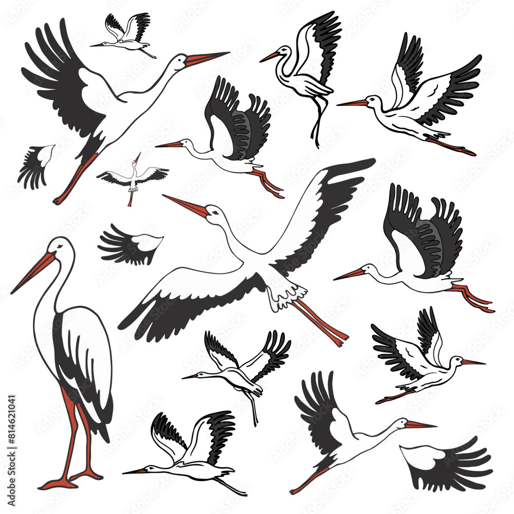 Isolated set of storks in different poses.. Vector illustration of ...