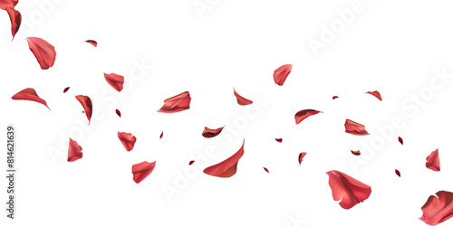 Simple vector illustration. of fallen tulip leaves falling in lines on a white background photo