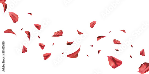 Simple vector illustration. of fallen tulip leaves falling in lines on a white background
