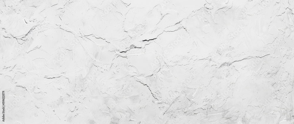 High-resolution image capturing the detailed texture of a white plaster wall. Perfect for backgrounds, overlays, or as a design element in various creative projects High-resolution image capturing the detailed texture of a white plaster wall. Perfect for backgrounds, overlays, or as a design element in various creative projects