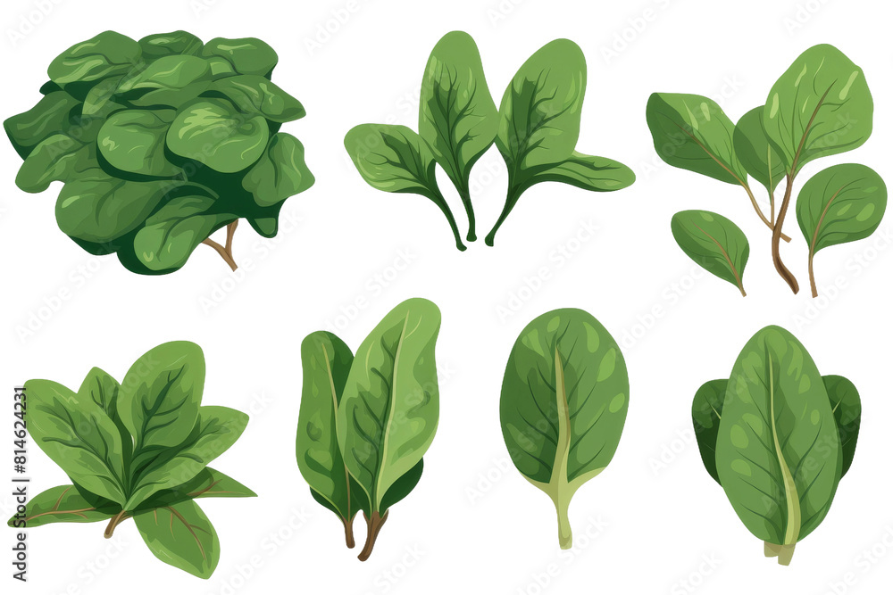 Fototapeta premium Verdant Symphony: A Cascade of Emerald Leaves. On a White or Clear Surface PNG Transparent Background.