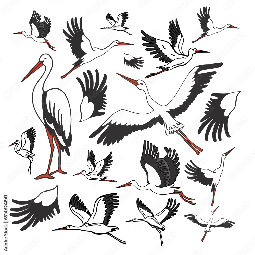 Isolated set of storks in different poses.. Vector illustration of ...