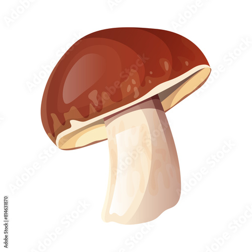 Porcini mushroom illustration.