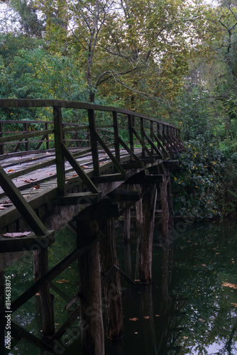 Wooden bridge across the river in the autumn park