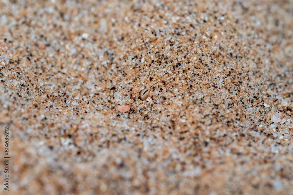 Shot of the beach with sand and the ocean's surface visible Shot of the beach with sand and the ocean's surface visible