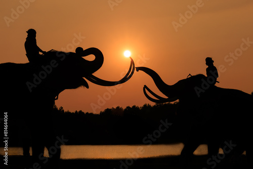 silhouette elephants face each other and people over sunset background.