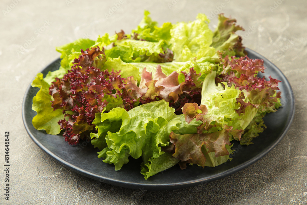 Fresh red and green lettuce on dark plate on grey background. Fresh red and green lettuce on dark plate on grey background.