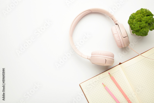 Modern pink headphones with plant and notebook on light background