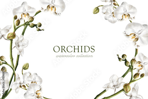 Orchid watercolor vector on white background design