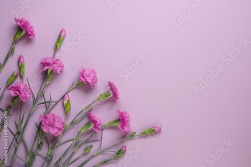 Concept of holiday greeting card with pink carnation bouquet on a pink background. Top view. Flat lay. Space for text.