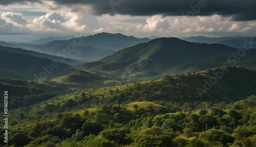 Amazing wild nature view of layer of mountain forest landscape with cloudy sky. © AMIRUN