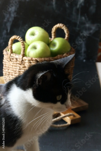 Green apples in a basket on a black background