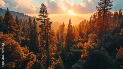 Generative AI Natural beauty  aerial drone shot  setting sun  panoramic forest  highly detailed Sequoia Park sunset view