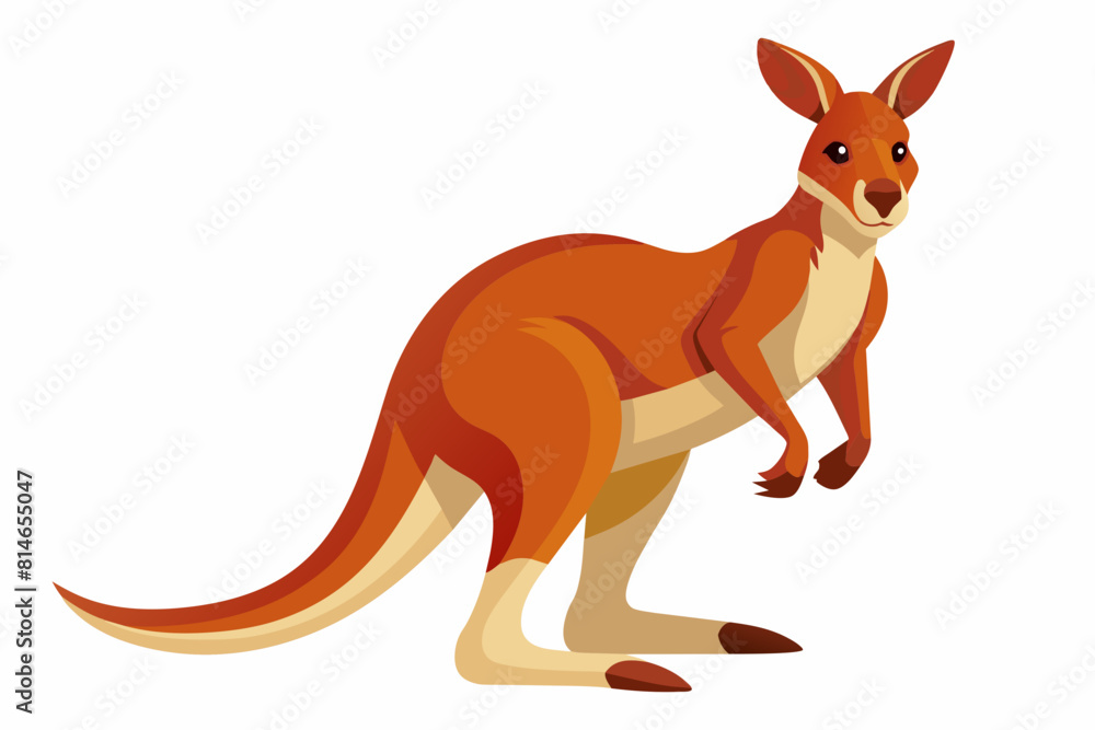 kangaroo cartoon vector illustration kangaroo cartoon vector illustration