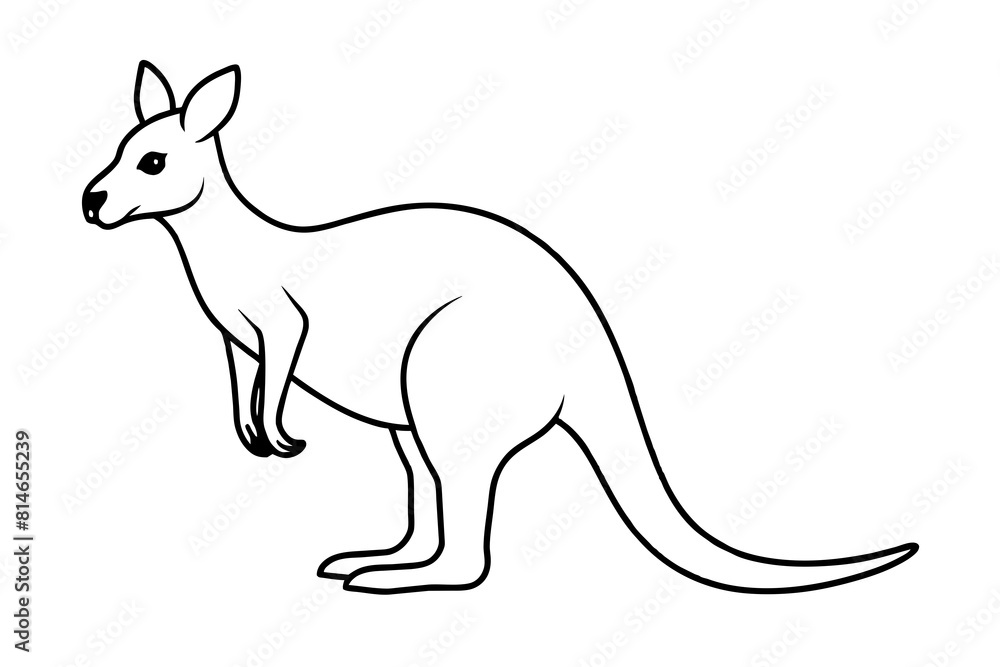 kangaroo line art silhouette illustration kangaroo line art silhouette illustration