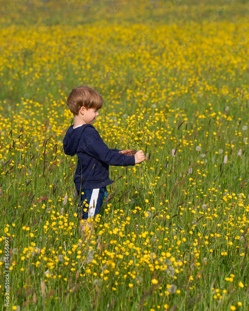 Fototapeta premium Cute child, boy playing in a field with wild yellow flowers, enjoying fresh air, active lifestyle