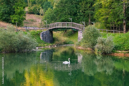 Beautiful view of a lake with swan and bridge photo