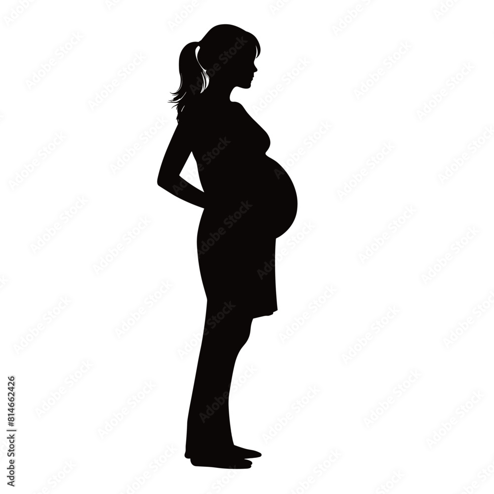 Elegant pregnant woman silhouette posing gracefully