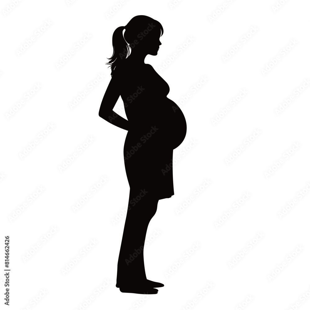 Elegant pregnant woman silhouette posing gracefully Elegant pregnant woman silhouette posing gracefully
