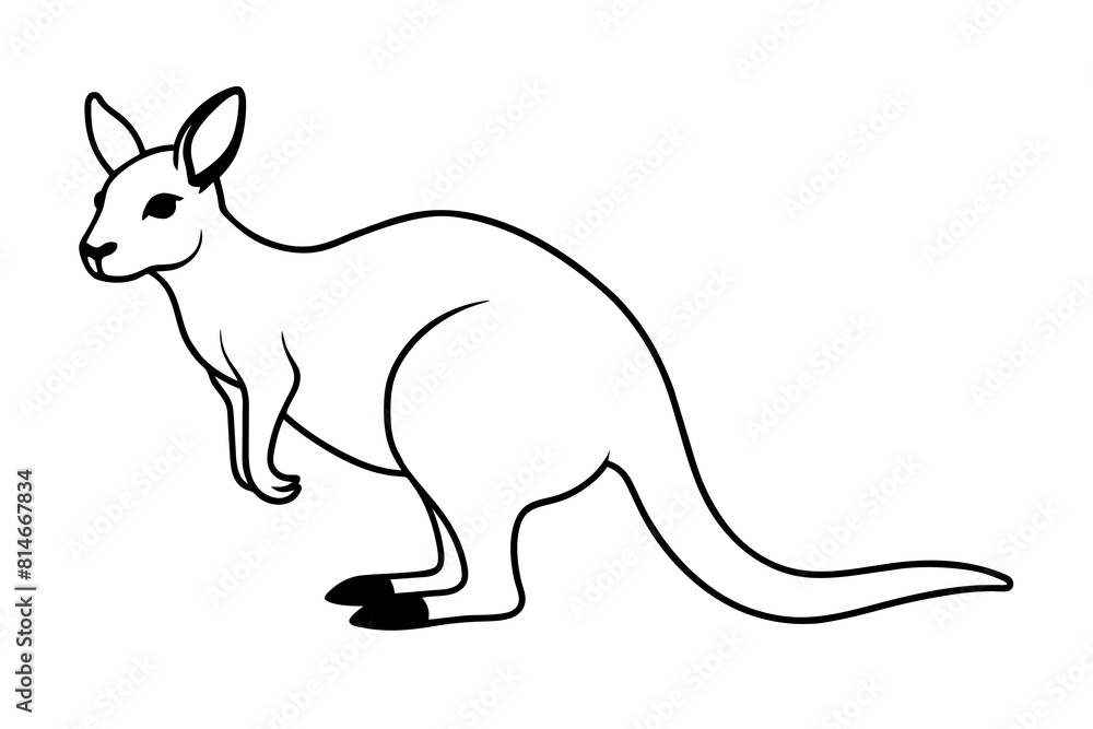 wallaby line art silhouette illustration wallaby line art silhouette illustration