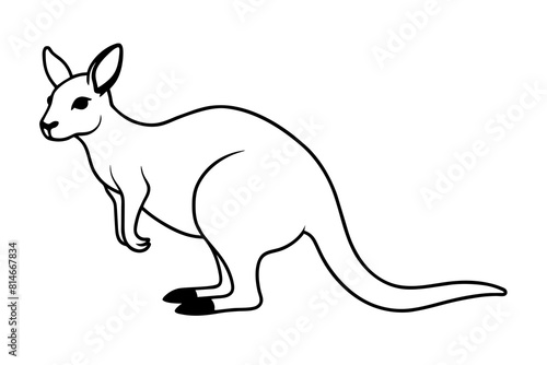 wallaby line art silhouette illustration